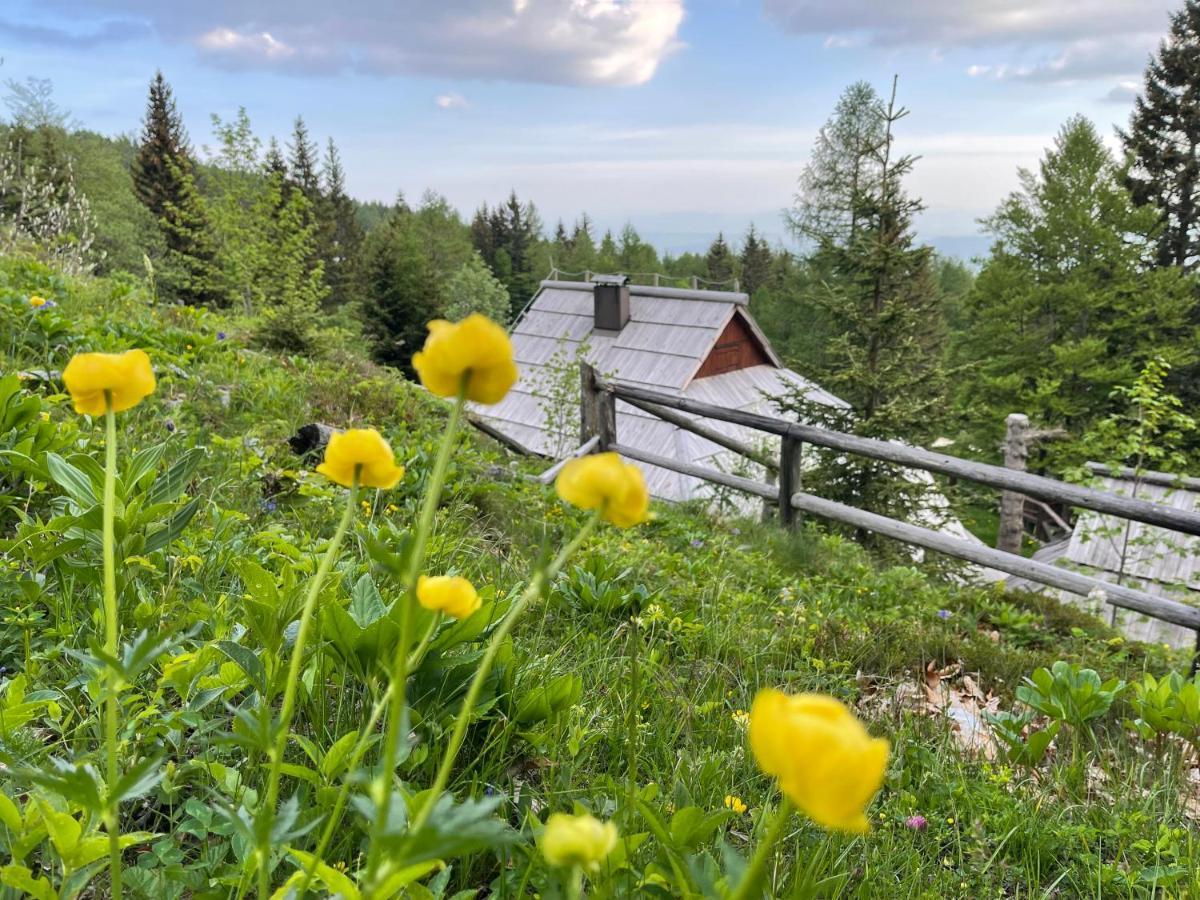 Velika Planina Chalet Slovenka Стаховиця Екстер'єр фото