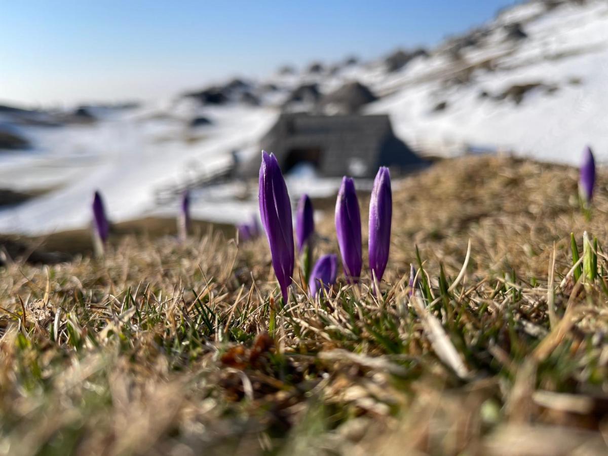 Velika Planina Chalet Slovenka Стаховиця Екстер'єр фото